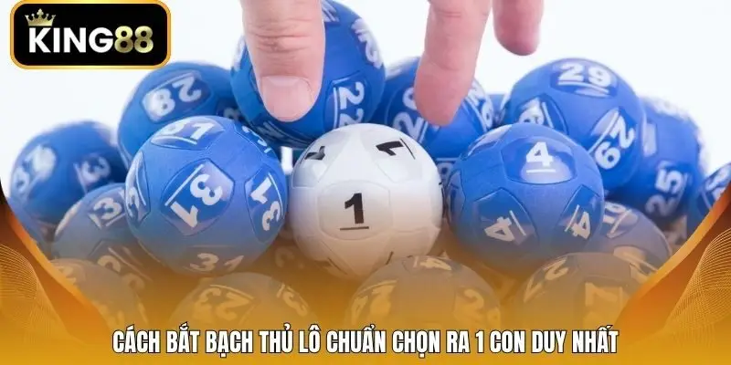 Cách bắt bạch thủ lô chuẩn chọn ra 1 con duy nhất