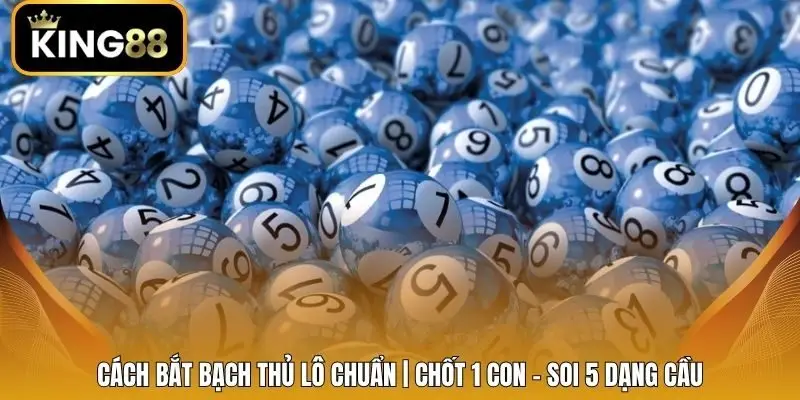 Cách Bắt Bạch Thủ Lô Chuẩn | Chốt 1 Con - Soi 5 Dạng Cầu