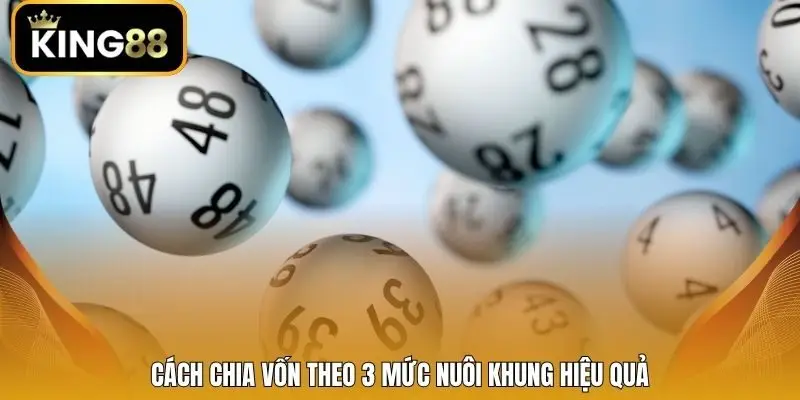 Cách chia vốn theo 3 mức nuôi khung hiệu quả