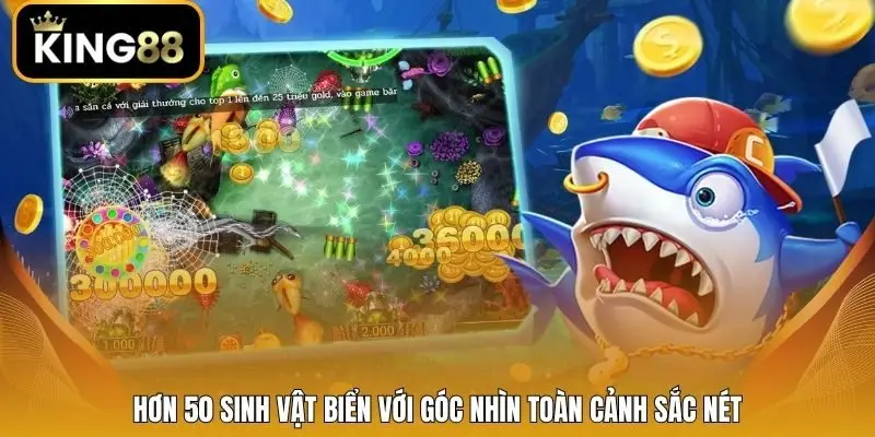 Hơn 50 sinh vật biển với góc nhìn toàn cảnh sắc nét